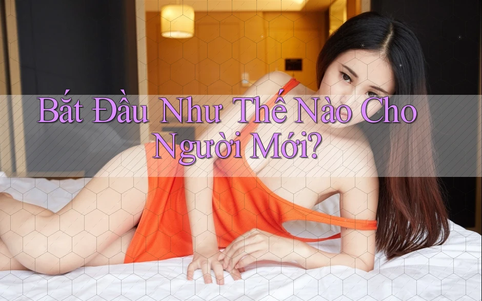 Bắt Đầu Như Thế Nào Cho Người Mới? Bắt Đầu Như Thế Nào Cho Người Mới?