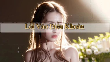 Lối vào Điều khoản