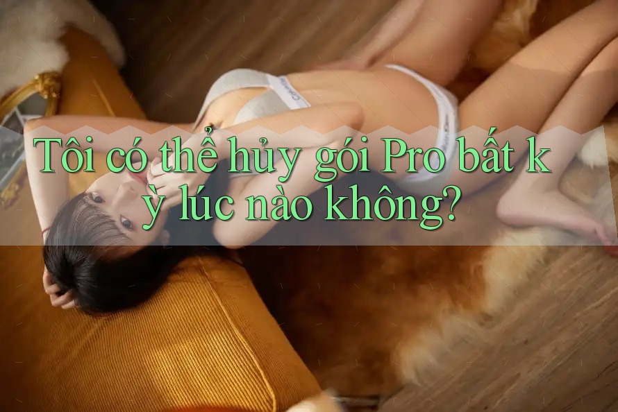 Tôi có thể hủy gói Pro bất kỳ lúc nào không? Tôi có thể hủy gói Pro bất kỳ lúc nào không?