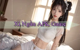 Xí ngầu APK game